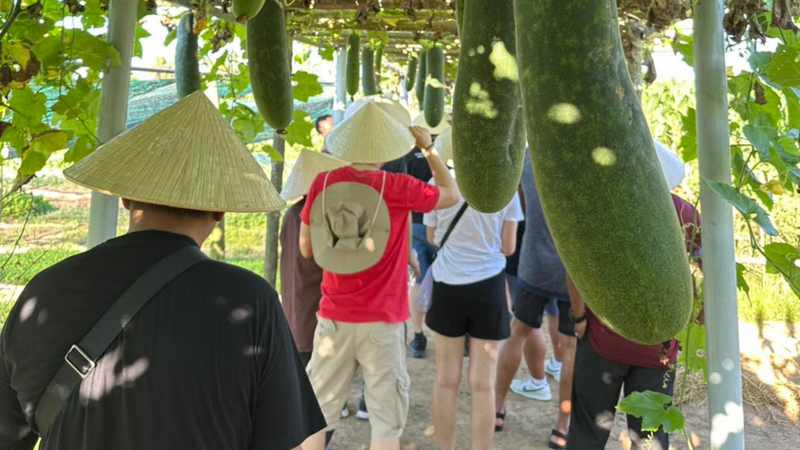 Lớp học làm nông tại vườn rau hữu cơ Kim Hà - Hội An (3)